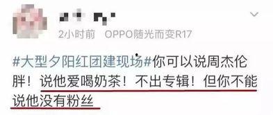 娱乐吃瓜报道文案短句大全,吃瓜文案短句大盘点